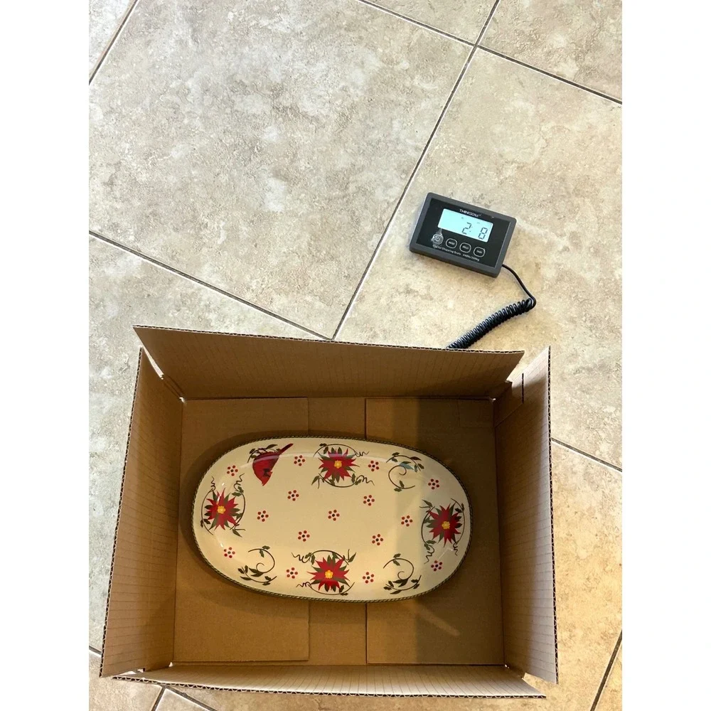Temp-tations by Tara Winter Whimsy Cardinal Poinsettia Oval Serving Platter 12in
